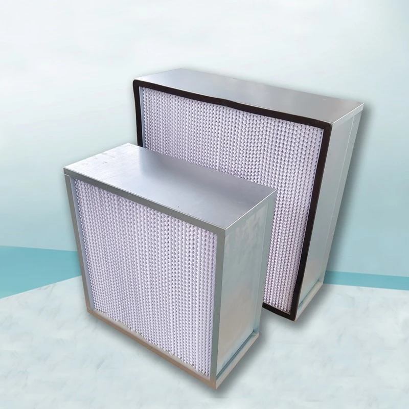 Partitioned HEPA Filter Partitioned HEPA Filter